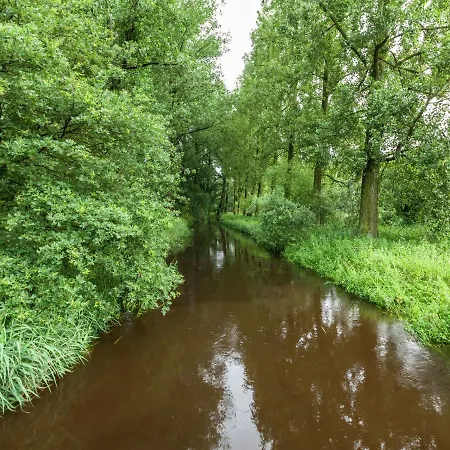 Cozy Holiday Home in Oisterwijk with Swimming Pool