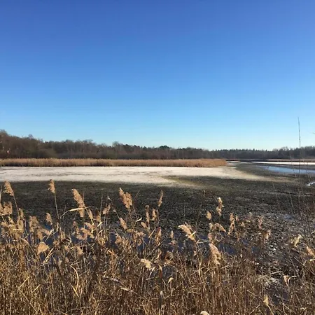 Holiday Home In Oisterwijk With Private Pool Hébergement de vacances *