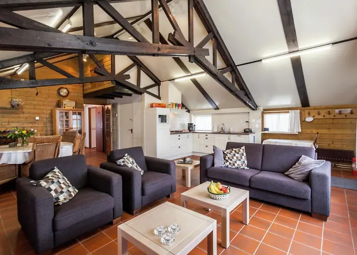 Holiday Home In Oisterwijk With Private Pool Oisterwijk