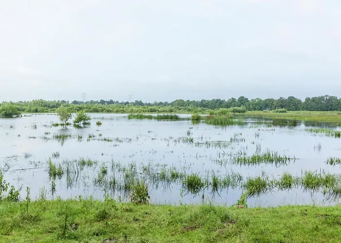 Holiday Home In Oisterwijk With Private Pool Σπίτι διακοπών *