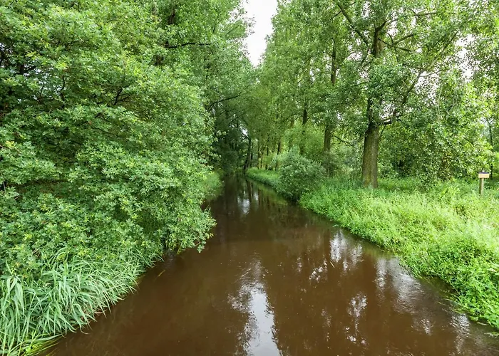 Holiday Home In Oisterwijk With Private Pool