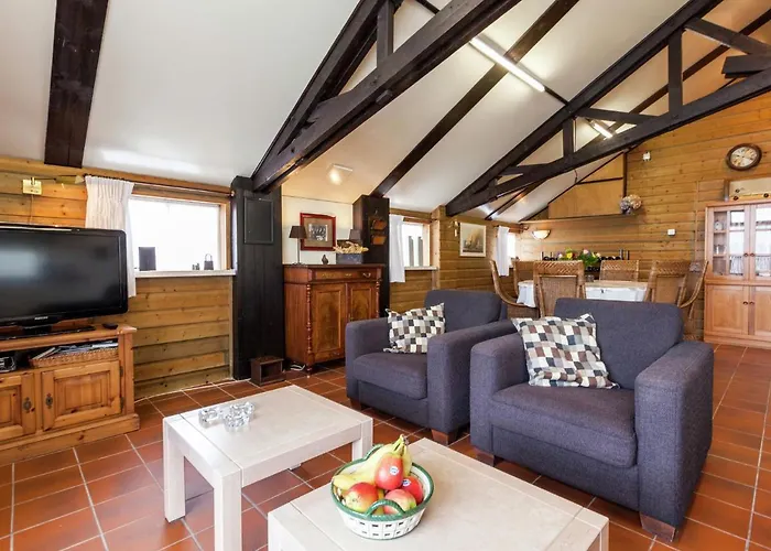 Holiday Home In Oisterwijk With Private Pool Oisterwijk