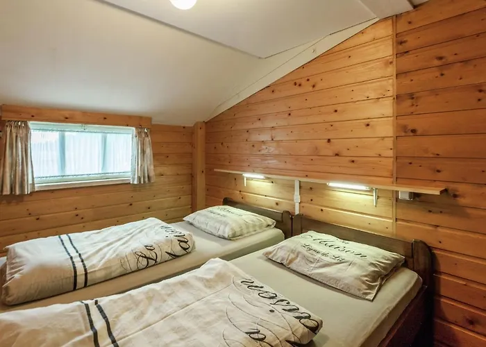 Holiday Home In Oisterwijk With Private Pool Oisterwijk