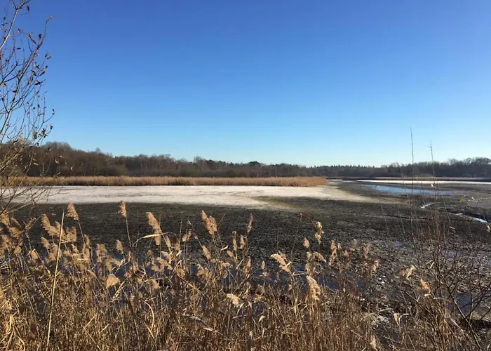 Holiday Home In Oisterwijk With Private Pool Σπίτι διακοπών *