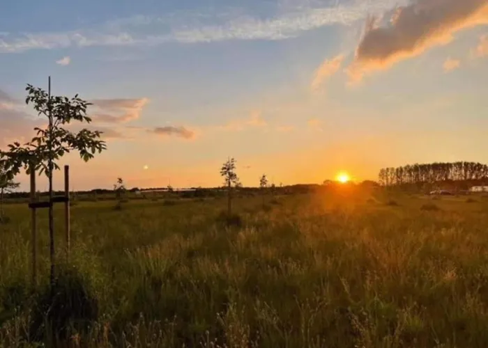 Holiday Home In Oisterwijk With Private Pool