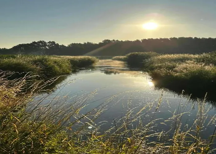 Holiday Home In Oisterwijk With Private Pool Σπίτι διακοπών