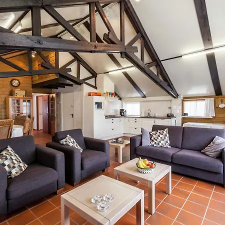 Holiday Home In Oisterwijk With Private Pool Oisterwijk